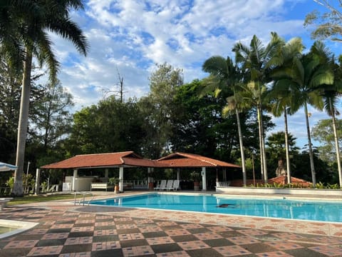 Day, Pool view, Swimming pool