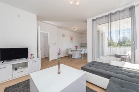 Villa Star 4 luxury apartment with a pool Condominio in Novalja
