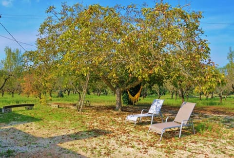 Trullo Lino House in Province of Taranto