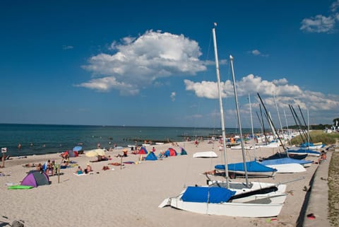 Natural landscape, Beach