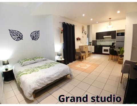 La serrurerie T2 et grand studio hyper centre Apartamento in Nimes