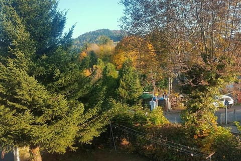 Day, Garden, Garden view, Mountain view