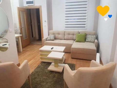 Elite Apartman Todor Eigentumswohnung in Zlatibor