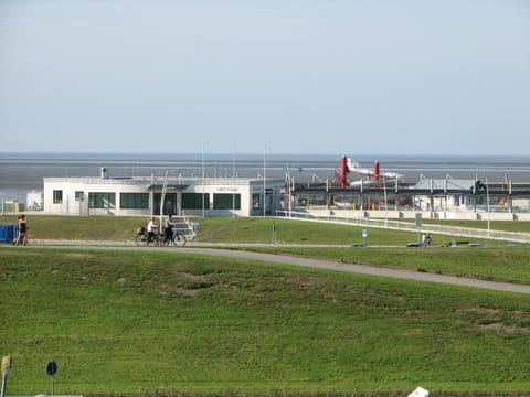 Restaurant/places to eat, Activities, Beach, Sports