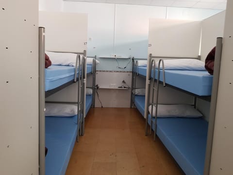 Photo of the whole room, Bedroom, bunk bed