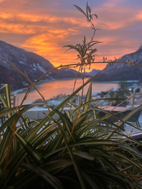 Hotel Aurora Hôtel in Molveno