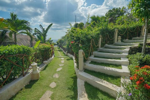 Natural landscape, Garden, Garden view
