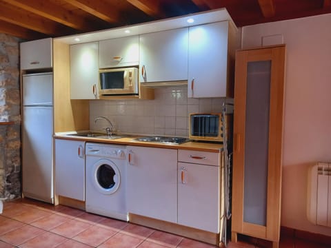 Errotazar apartamento rural P Condo in Basque Country