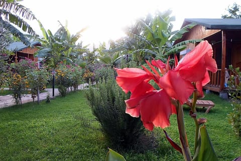 Estelar Bungalow Bed and Breakfast in Antalya Province