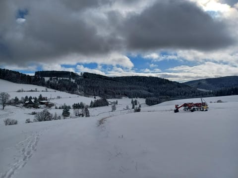 Blockhaustraum Nature lodge in Titisee-Neustadt