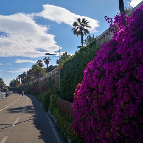 Property building, Neighbourhood