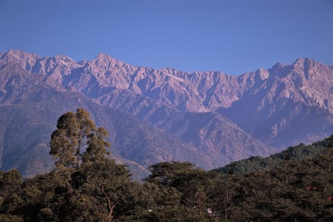 Lamrin Norwood Green Palampur, Himachal Pradesh Chalet in Himachal Pradesh