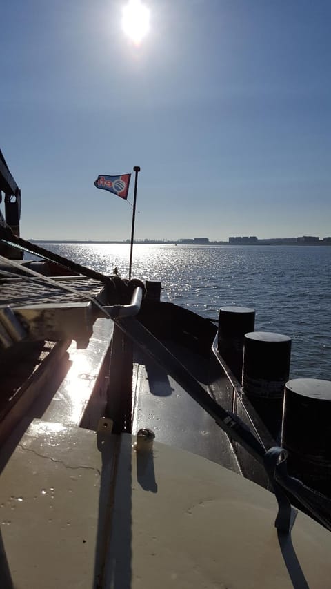 BlackPearl Boat&Breakfast Bed and Breakfast in Zeeland, Netherlands