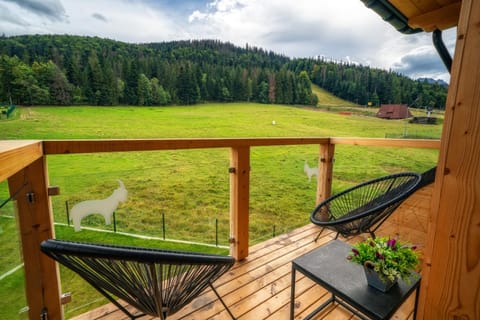 Balcony/Terrace, Garden view