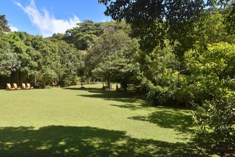 Day, Garden, Seating area, Garden view