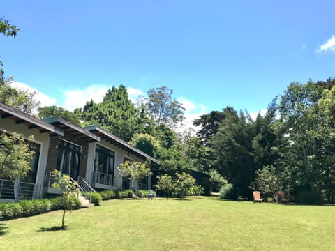 Property building, Natural landscape, Garden, Garden view