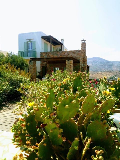 The Hill Top House in Kea Villa in Kea-Kythnos