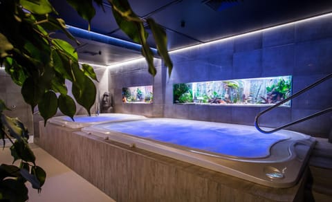 Hot Tub, Spa and wellness centre/facilities