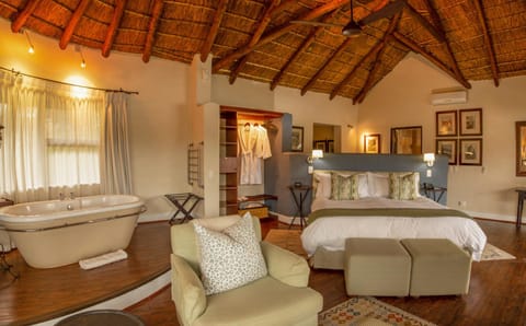 Pumba Private Game Reserve Nature lodge in Eastern Cape