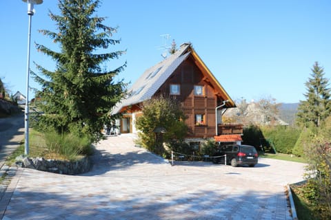 Ferienwohnung Seeblick Nr 5, 2 Zi-Bärental, Feldberg Apartment in Hinterzarten