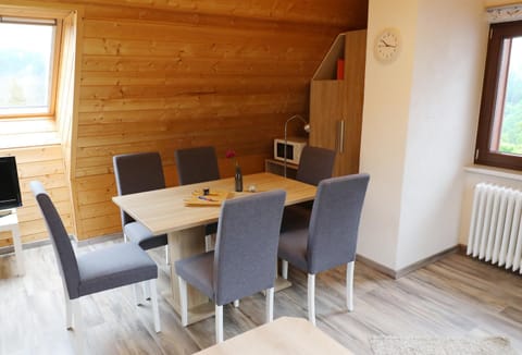 Ferienwohnung Seeblick Nr 5, 2 Zi-Bärental, Feldberg Apartment in Hinterzarten