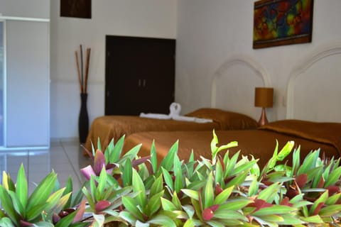 Hotel Paraiso Hotel in State of Nayarit