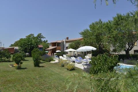 Patio, Garden, Garden view