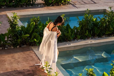 Garden, Pool view, Swimming pool