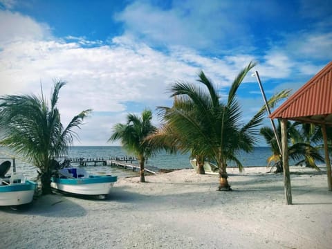 Carey Cabañas Nature lodge in State of Yucatan