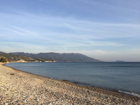 Beach, Autumn