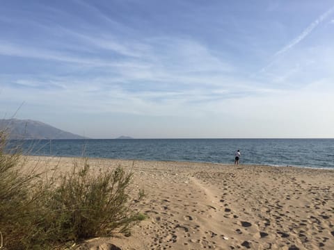 Beach, Autumn