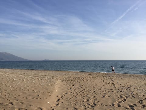 Beach, Autumn