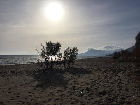 Beach, Autumn