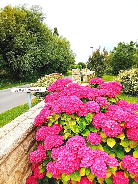 Petit Châtelet bis Bed and Breakfast in Brittany