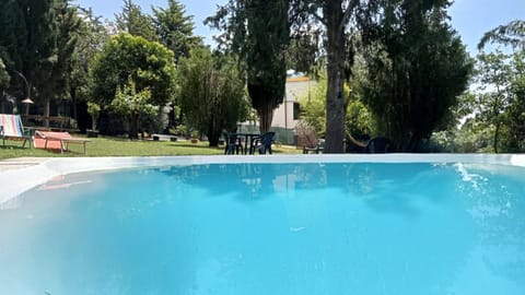 Garden, Pool view, Swimming pool