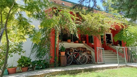 Property building, Cycling