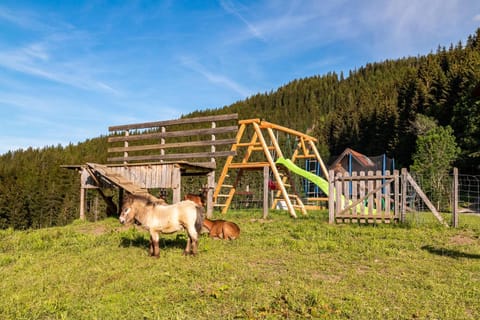 Bucheggerhof Wohnung in Schladming