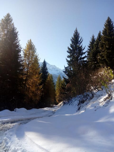 Natural landscape, Winter, Hiking