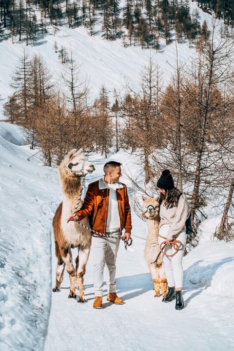 People, Activities, Winter, children, Family