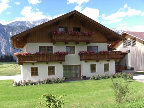 Property building, Day, Garden