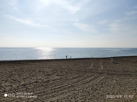 Beach, Sea view