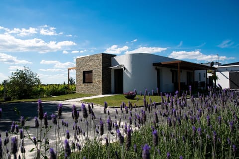 Property building, Day, Garden view