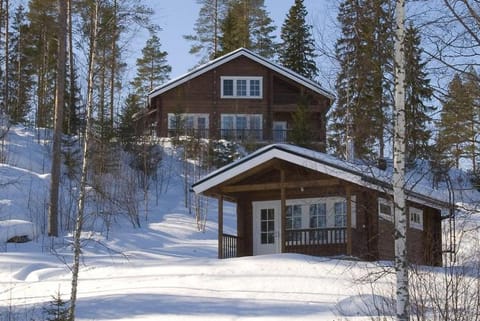 Property building, Winter, Sauna, Sauna