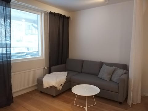 Studiohuoneisto Lohjan keskusta 2 Apartment in Uusimaa