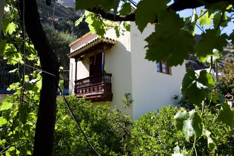 Patio, Garden, Balcony/Terrace