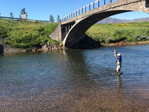 Natural landscape, Summer, Fishing, Fishing, Garden, Garden, River view