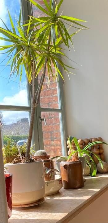 La Maison de Mano House in Brittany