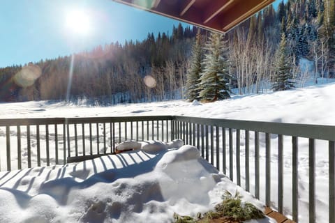 Cute 2 Bedroom East Vail Condo #1202 with Shuttle Condo in Vail