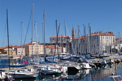 Other, Area and facilities