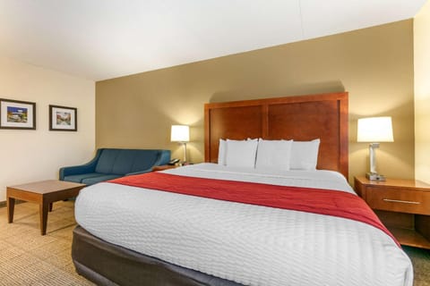 Comfort Inn Downtown Auberge in Chattanooga